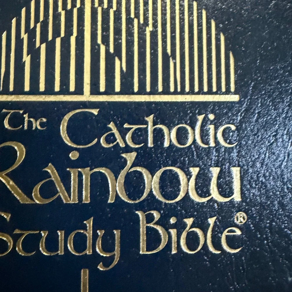 Rainbow Studies International catholic rainbow